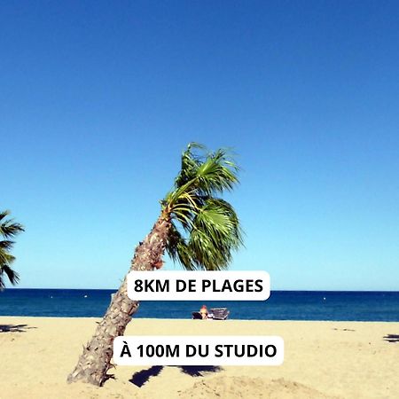 Appartement A 100M De La Plage - Terrasse & Parking Prive Le Barcares Exterior photo