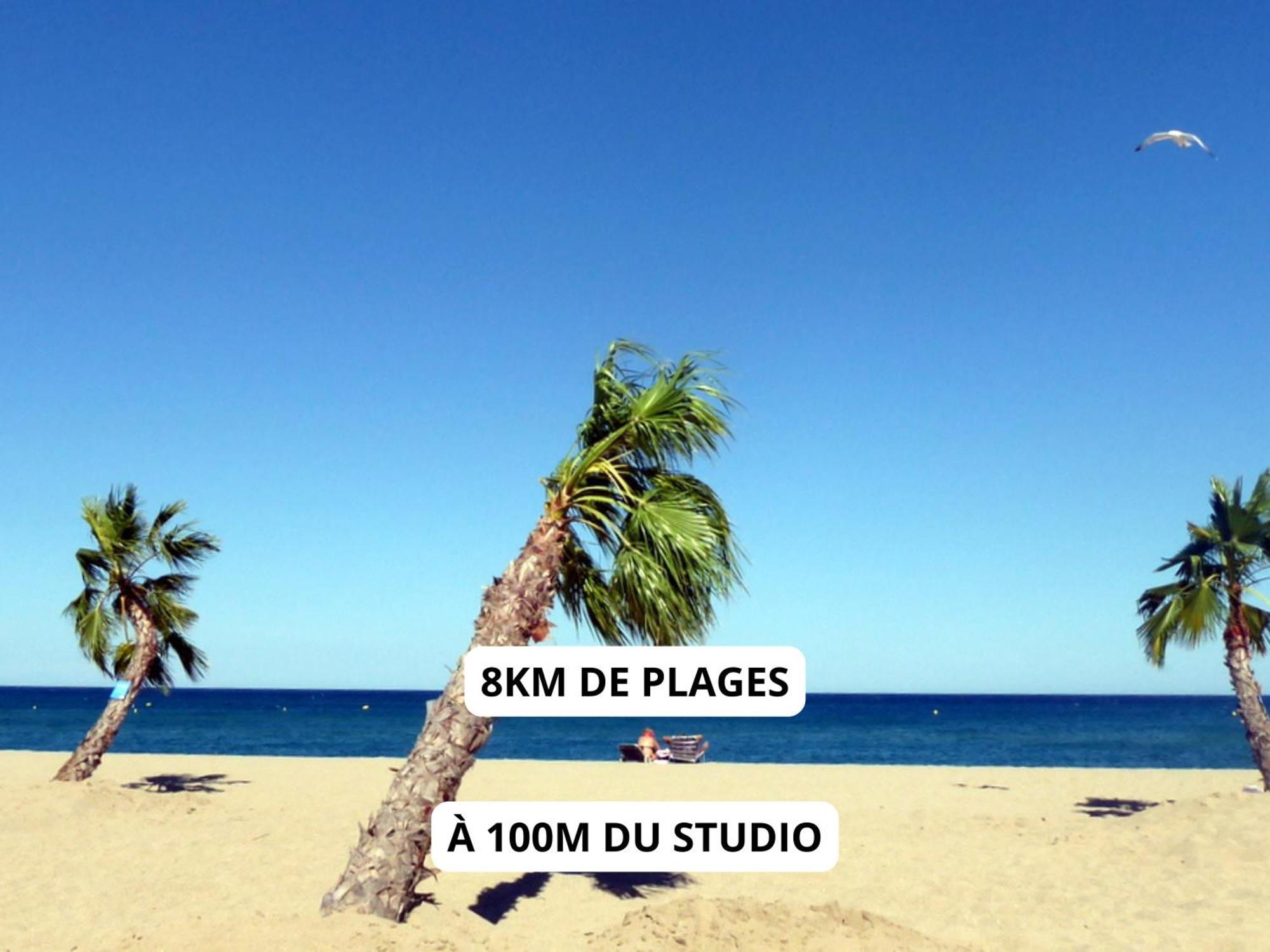 Appartement A 100M De La Plage - Terrasse & Parking Prive Le Barcares Exterior photo